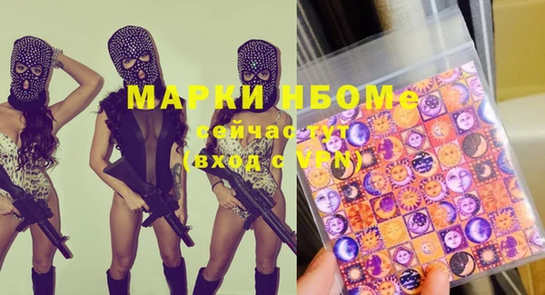 прущие грибы Семикаракорск