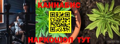 прущие грибы Камышлов