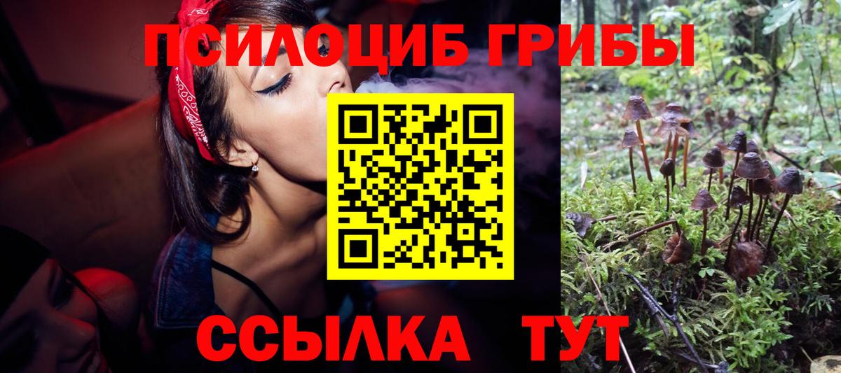 Кумертау  Псилоцибиновые грибы мицелий  Вход с VPN 