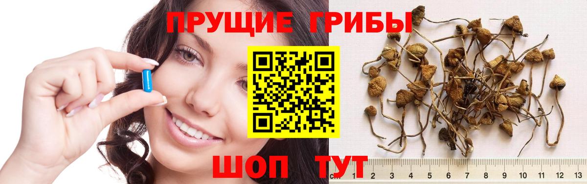 Галлюциногенные грибы Cubensis Кумертау